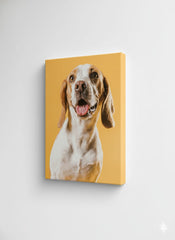 PERRO FONDO AMARILLO