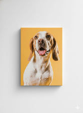 PERRO FONDO AMARILLO