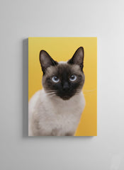 GATO FONDO AMARILLO