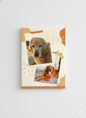 DISEÑO PARA MASCOTA