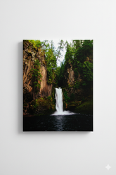 CASCADA EN EL BOSQUE