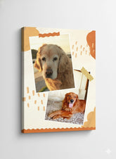 DISEÑO PARA MASCOTA