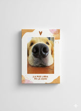 DISEÑO ACUARELA PARA MASCOTAS