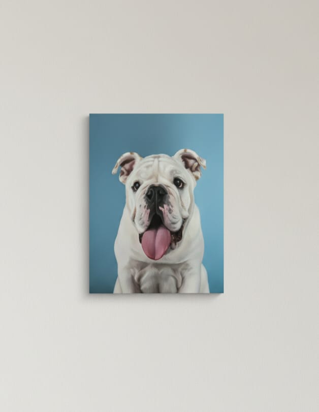 BULLDOG FONDO AZUL