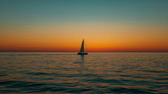 El Viajero Solitario